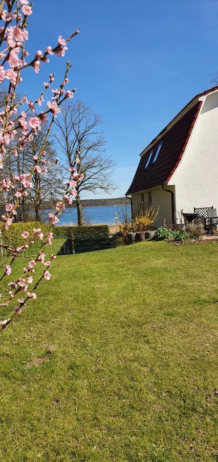 Villa Seeschwalbe Plau Plau am See Exterior photo